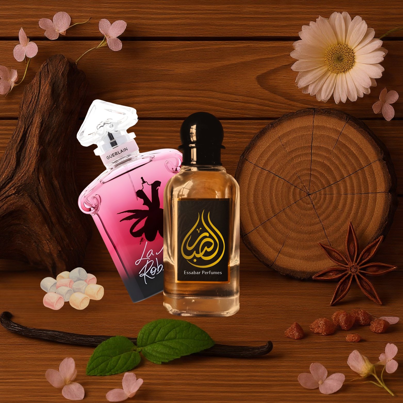 jpg la petite robe noire jpg la petite robe noire