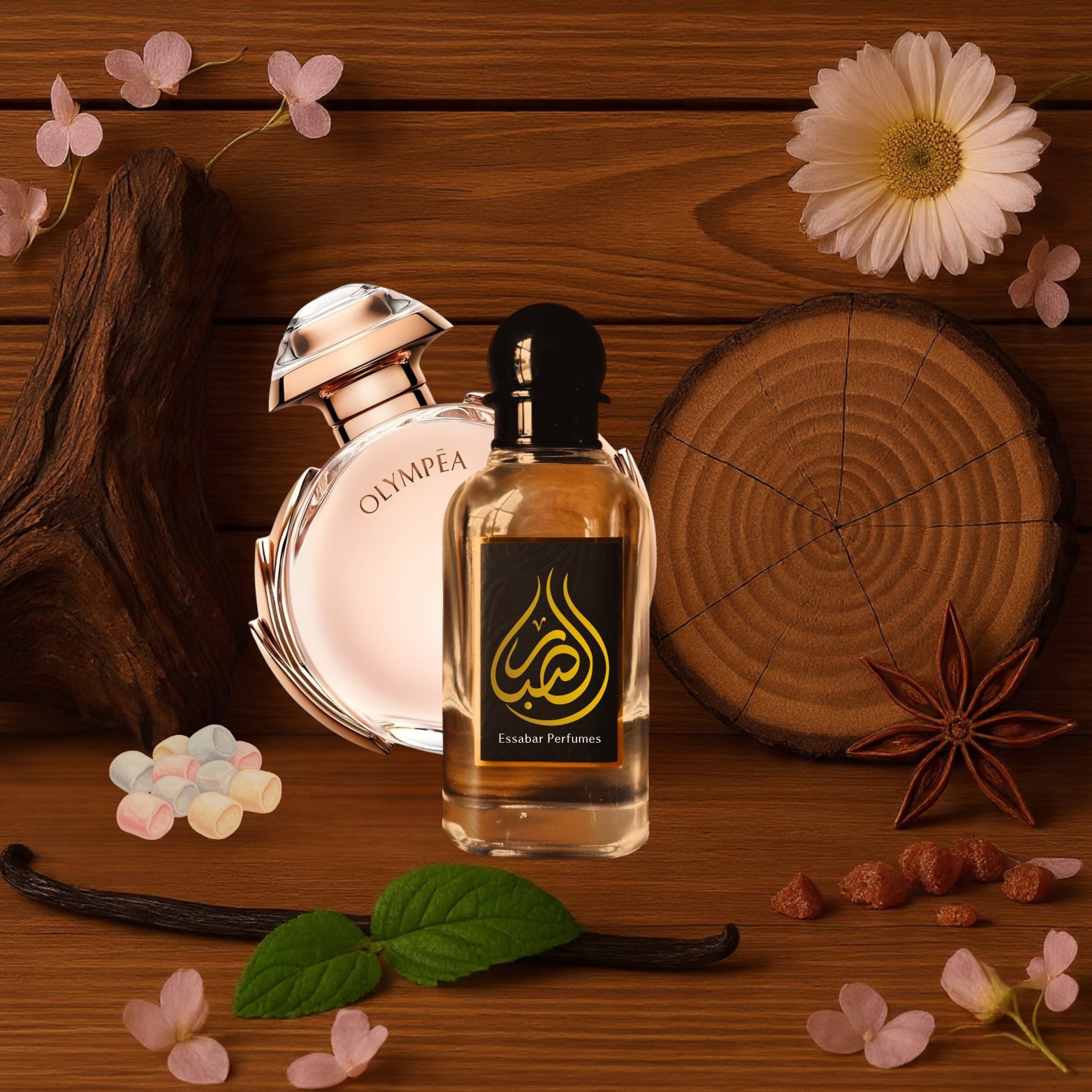 jpg olympia jpg olympia