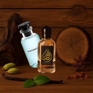 imagination louis vuitton